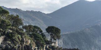 Ile kosztuje kurs na informatyka?