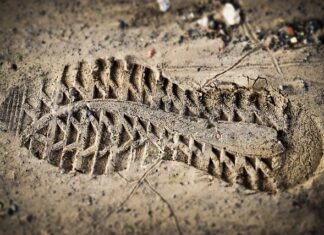 Kiedy dyrektor dokonuje oceny pracy nauczyciela? Kiedy dyrektor dokonuje oceny pracy nauczyciela?