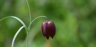 Jakie instytucje chronią konsumenta?