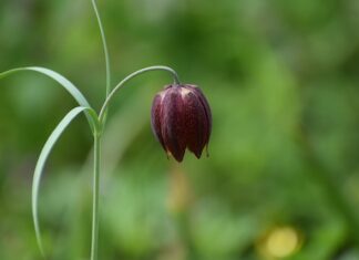 Jakie instytucje chronią konsumenta?