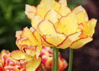 Jak zmienił się świat w ciągu 10 lat? Jak zmienił się świat w ciągu 10 lat?