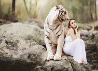 Czy wszystkie dane osobowe podlegają ochronie? Czy wszystkie dane osobowe podlegają ochronie?