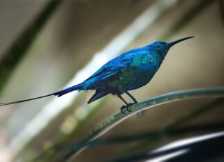 Czy faktura jest tajemnica przedsiębiorstwa?