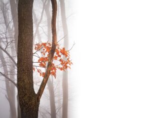 Jak napisać negatywny feedback po rozmowie kwalifikacyjnej?