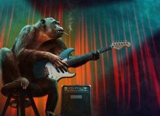 Na jakim etapie kredytu przychodzi rzeczoznawca? Na jakim etapie kredytu przychodzi rzeczoznawca?