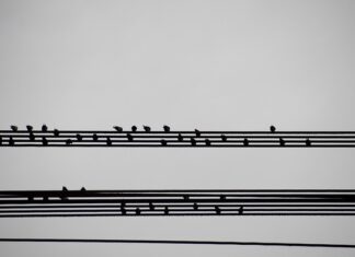 Jak napisać podsumowanie szkolenia?