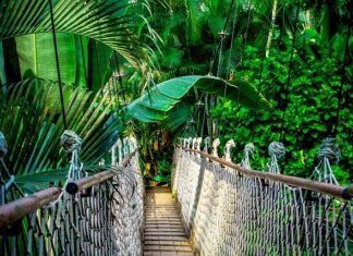 Ile kosztuje kurs Microsoft Office?