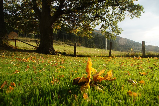 Czy nauczyciel ma prawo wpisać ocenę po 2 tygodniach? Czy nauczyciel ma prawo wpisać ocenę po 2 tygodniach?