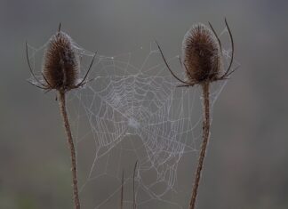 Czy uczeń ma prawo otrzymać sprawdzian do domu?