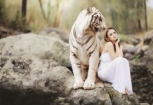 Co Konstytucja mówi o ochronie środowiska?