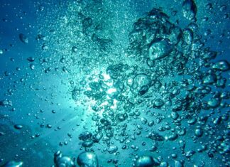 Jak poprawić stan powietrza?