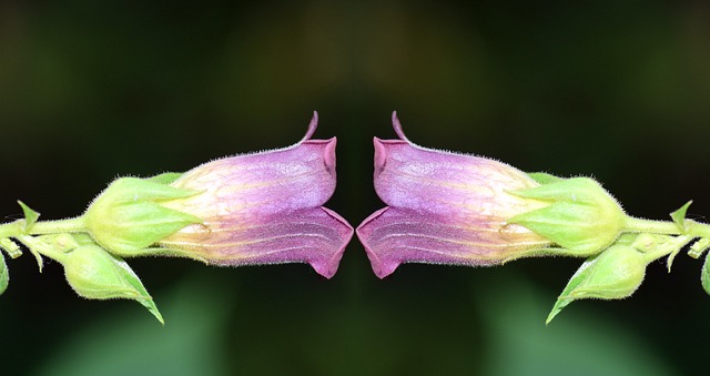 Jak działają rekurencyjne sieci neuronowe? Jak działają rekurencyjne sieci neuronowe?