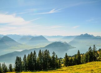 Kiedy komornik nie może zająć nieruchomości? Kiedy komornik nie może zająć nieruchomości?