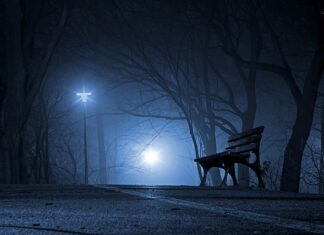 Kiedy Polska dołączyła do WHO? Kiedy Polska dołączyła do WHO?