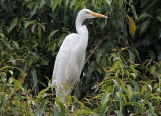 Gdzie można mieszkać za darmo? Gdzie można mieszkać za darmo?