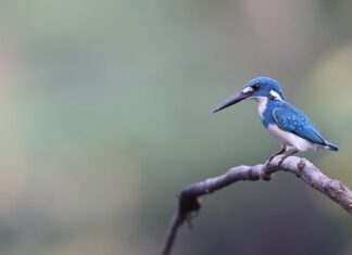 Jak długo organizm oczyszcza się z kontrastu?